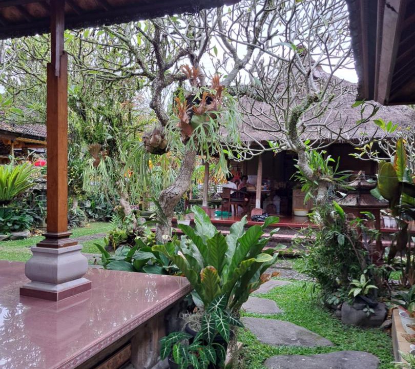 Photo of Others in Peliatan