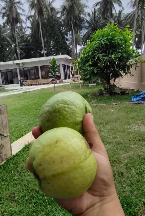 Photo of Others in Tanjung Setia