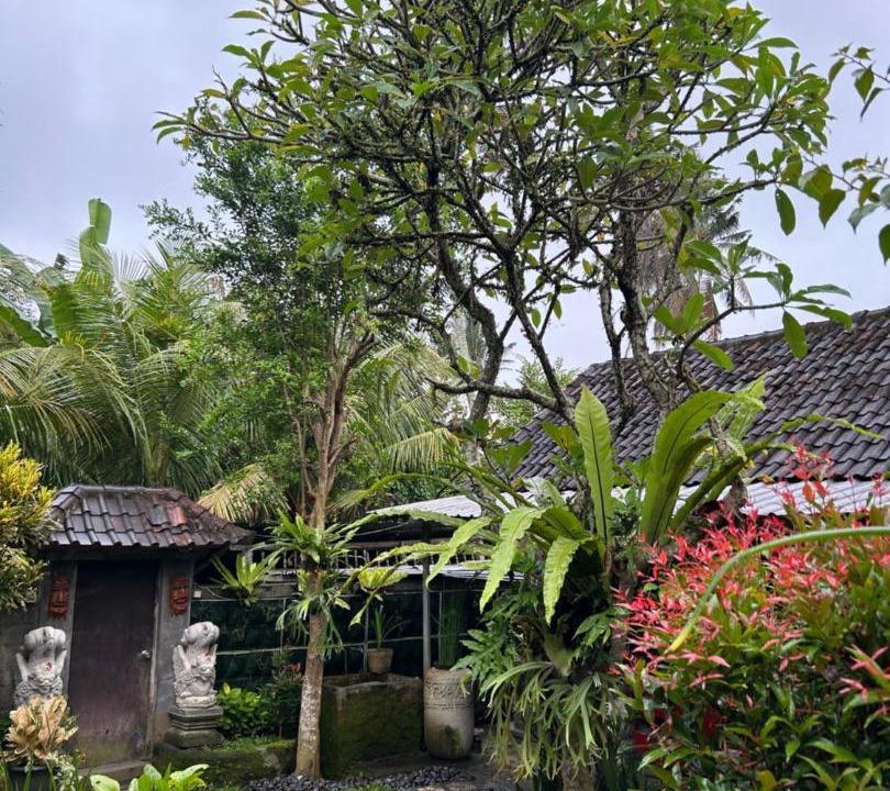 Photo of Others in Peliatan