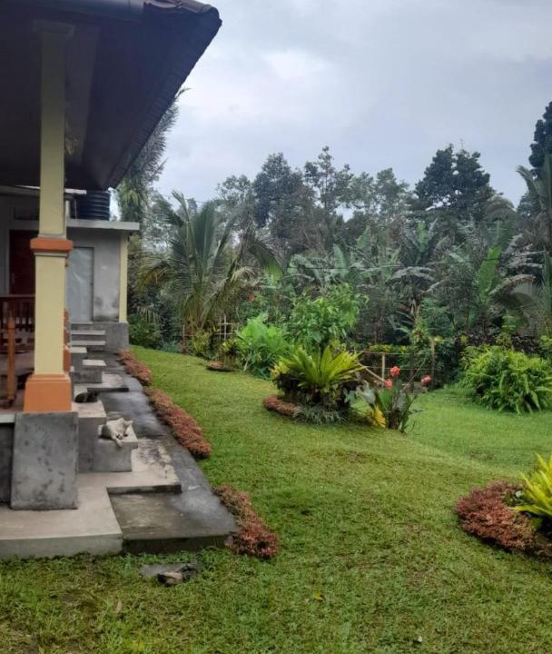 Photo of Others in Wongaya Gede