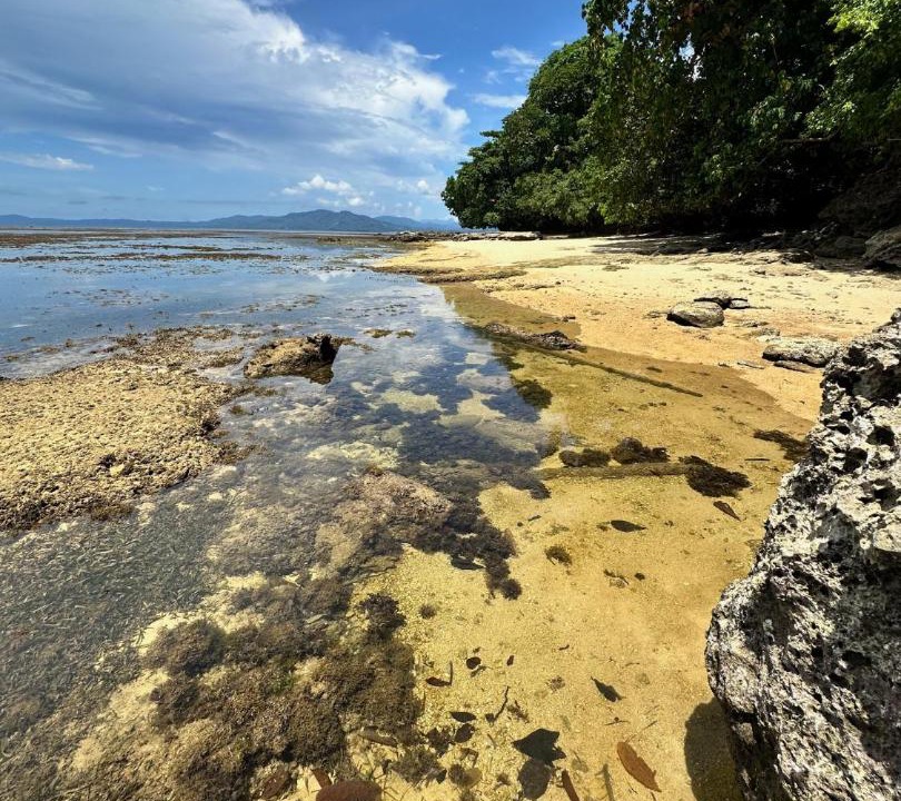 Photo of Others in Siladen Island