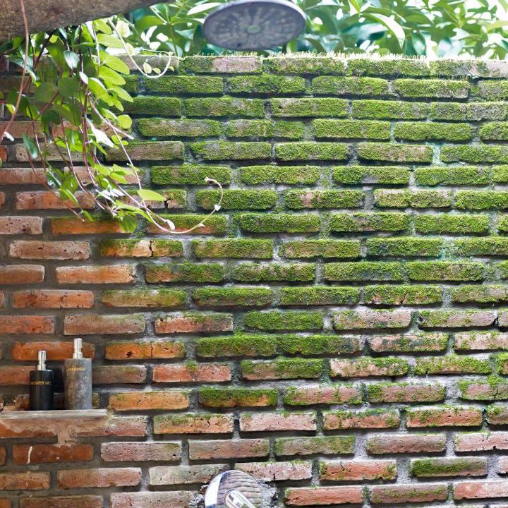 Photo of Others in Sukasada