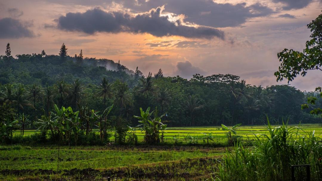 Photo of Others in Bangunjiwo