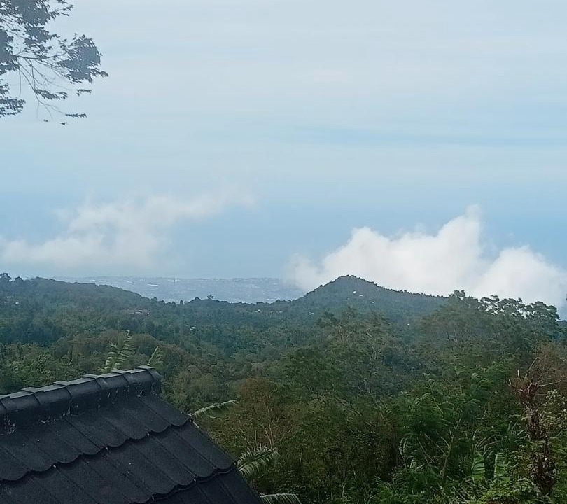 Photo of Others in Wanagiri
