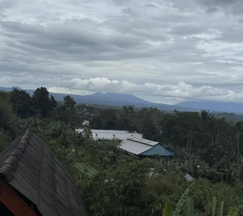 Photo of Others in Baturiti