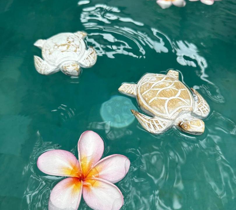 Photo of Others in Sanur