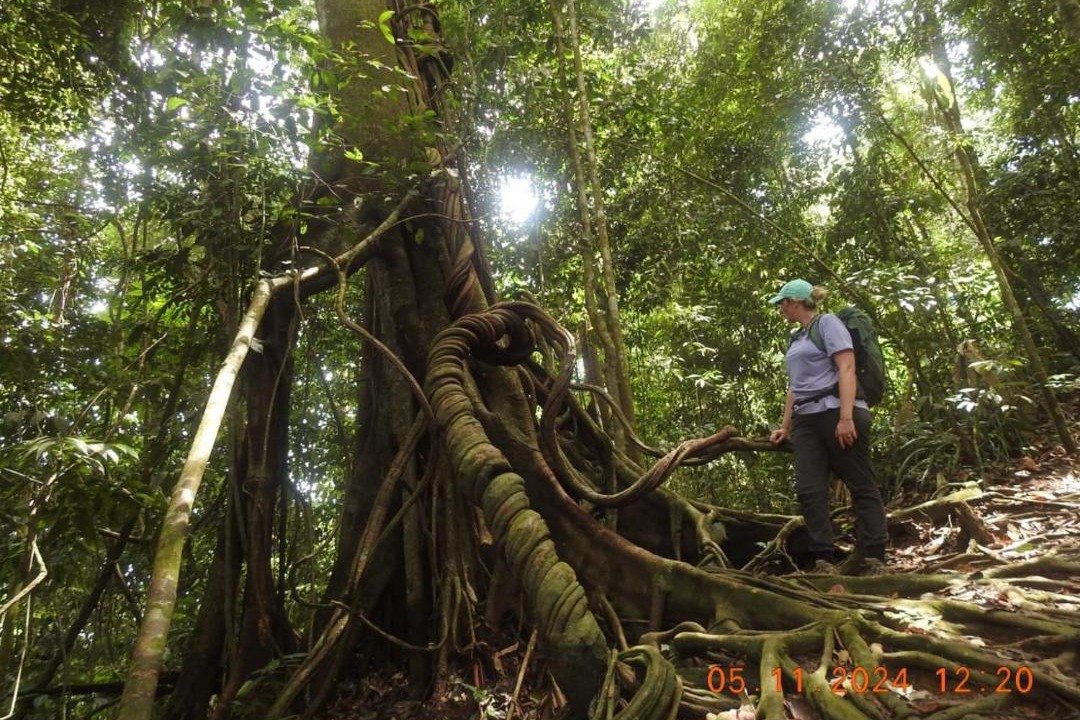 Photo of Others in Bukit Lawang