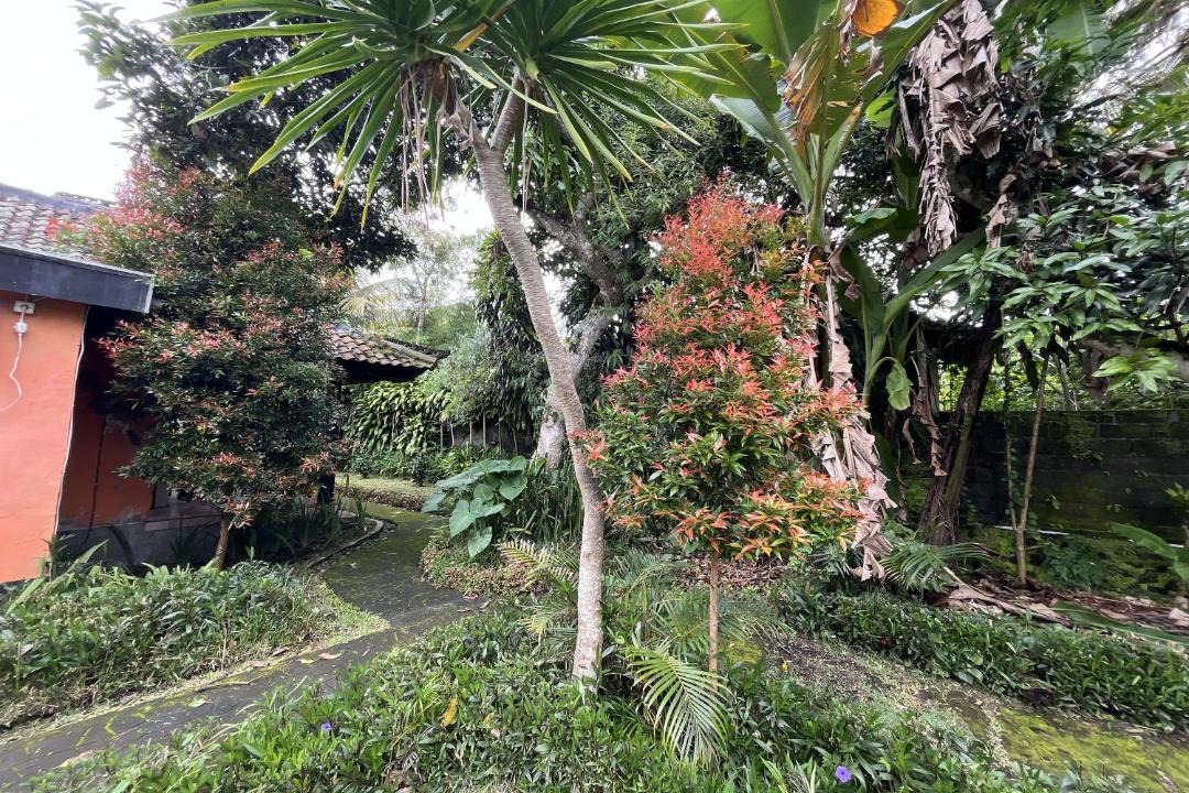 Photo of Others in Toya Bungkah