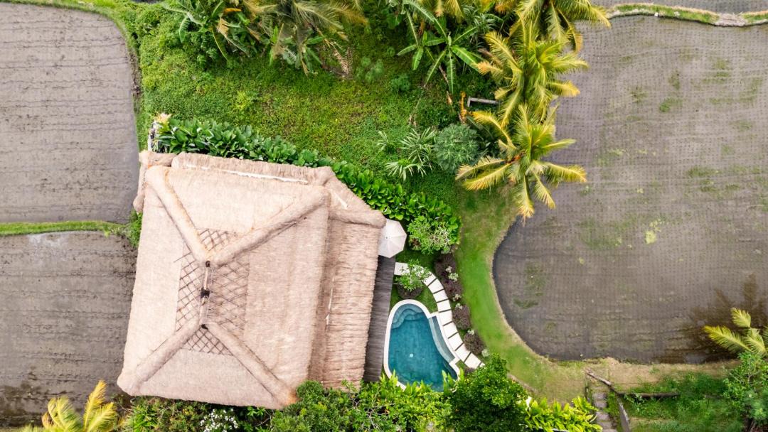 Photo of Others in Ubud