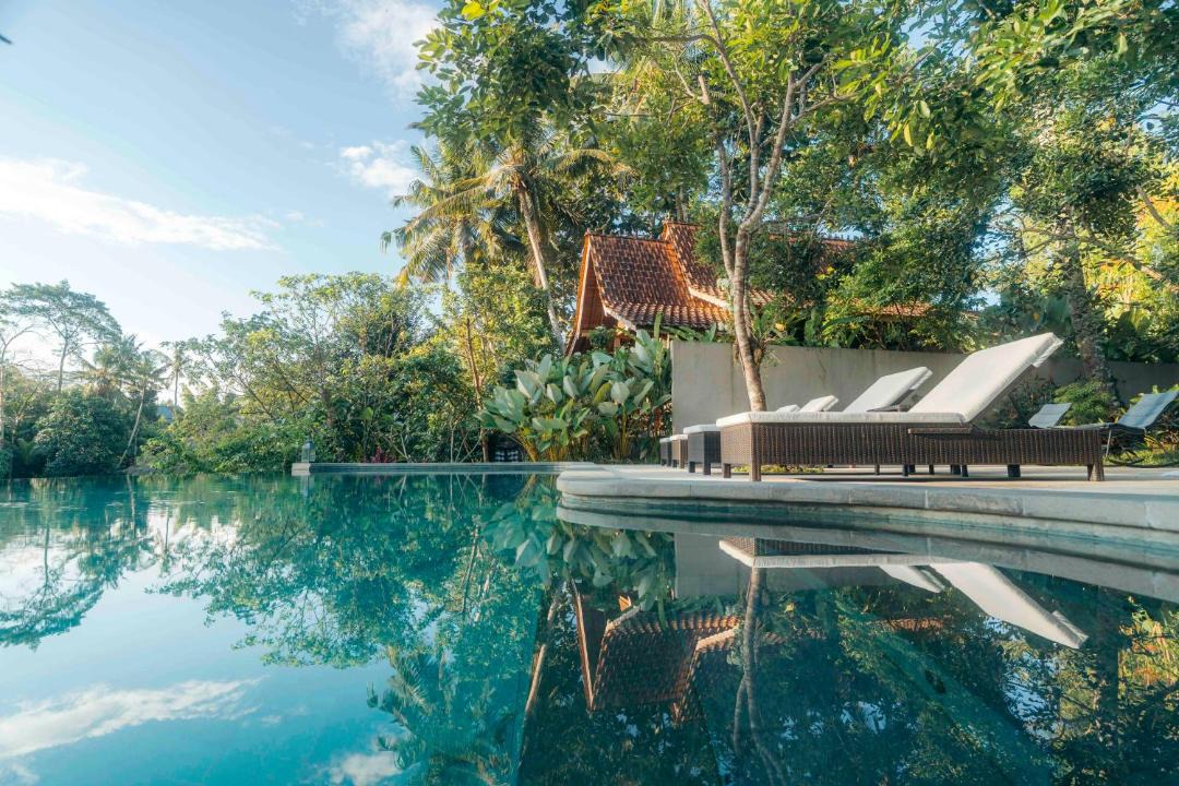 Photo of Others in Ubud