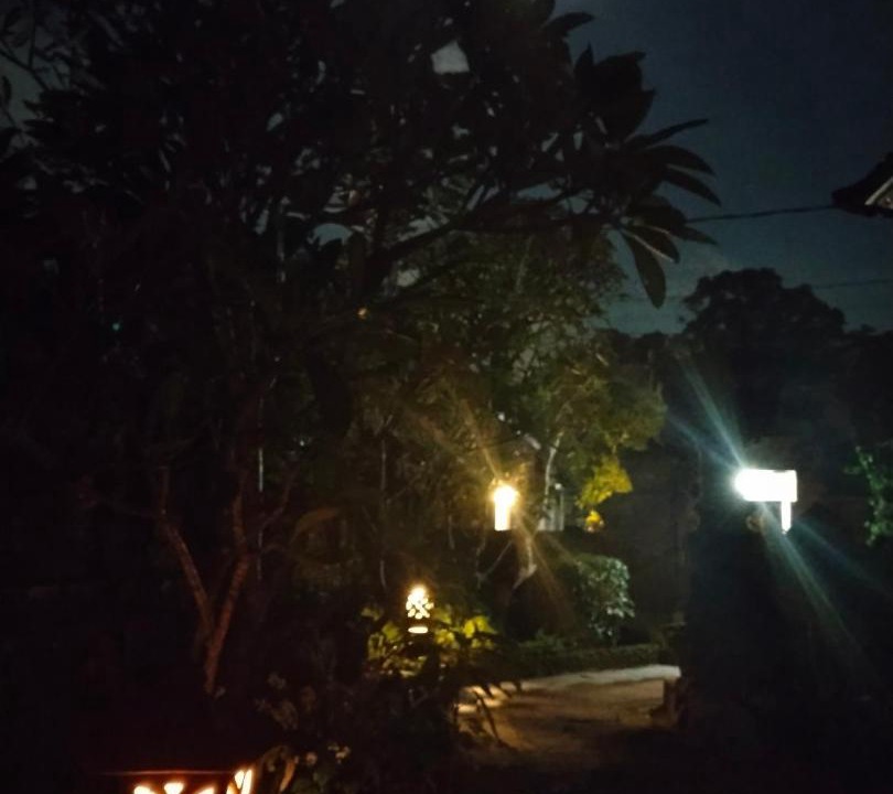 Photo of Others in Peliatan