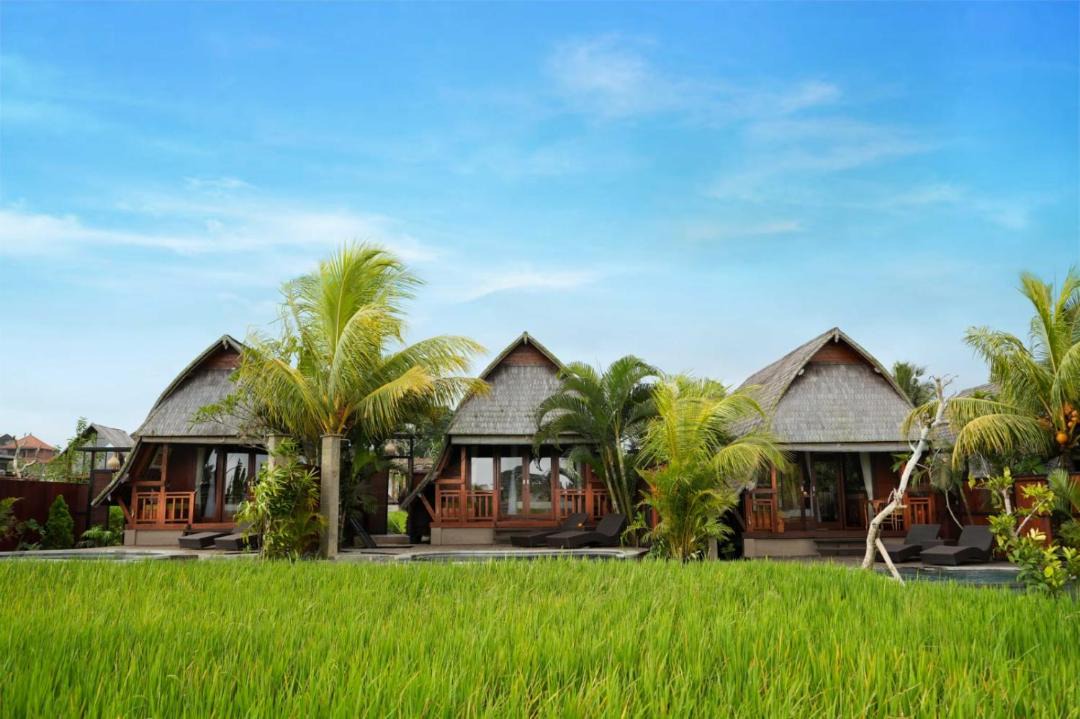 Photo of Others in Peliatan