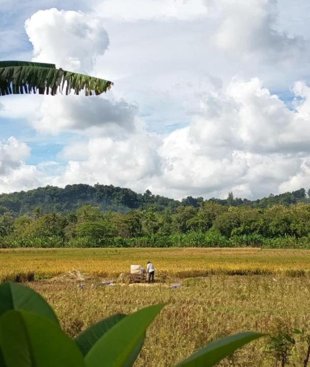Photo of Others in Bangunjiwo