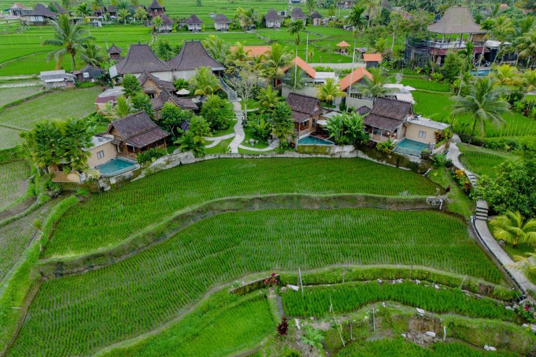 Photo of Others in Sebatu