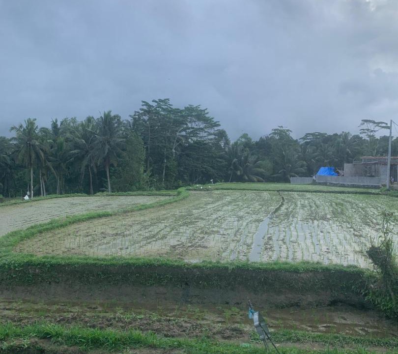 Photo of Others in Sambahan