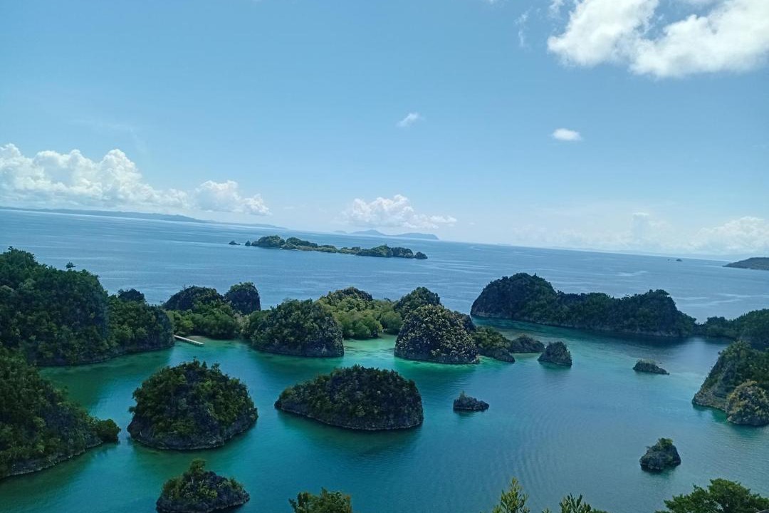 Photo of Others in Raja Ampat