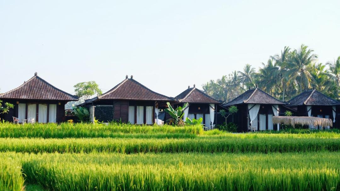 Photo of Others in Kenderan