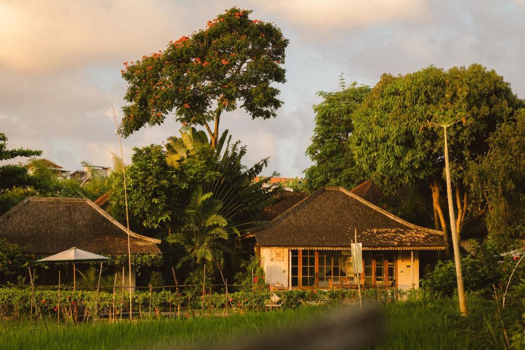 Photo of Others in Umalas