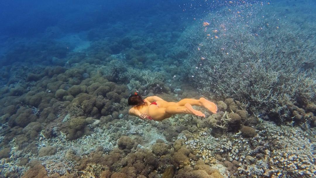 Photo of Others in Labuhan Lombok