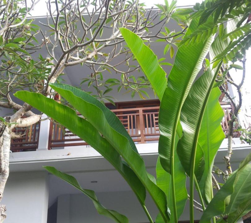 Photo of Others in Peliatan