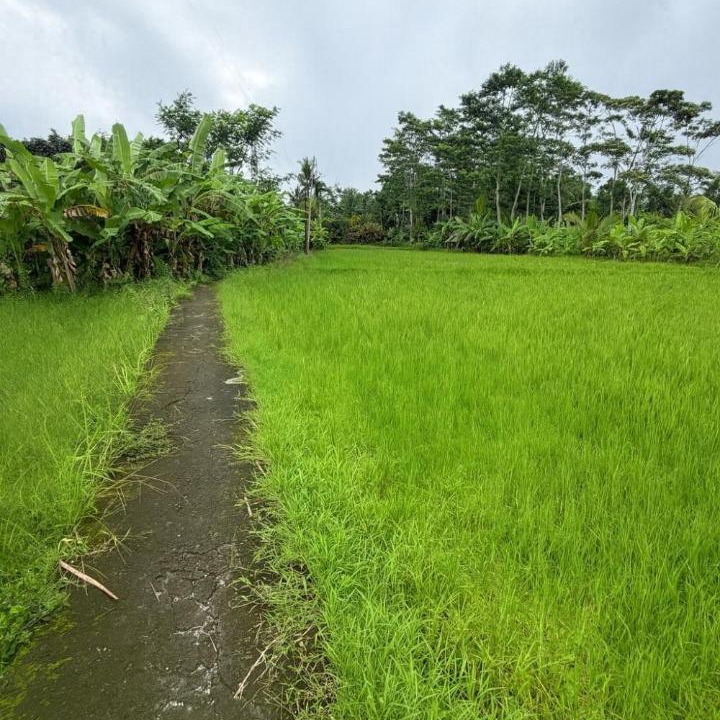 Photo of Others in Sayan