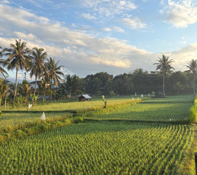 Photo of Others in Kecamatan Masbagik