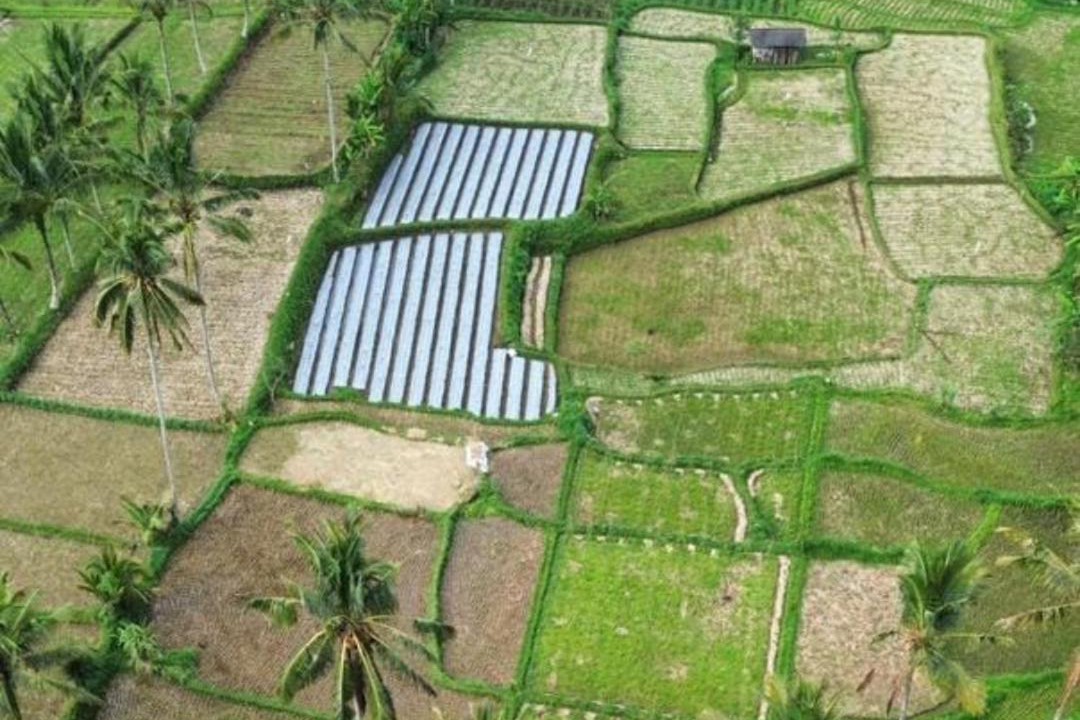 Photo of Others in Kecamatan Pringgasela