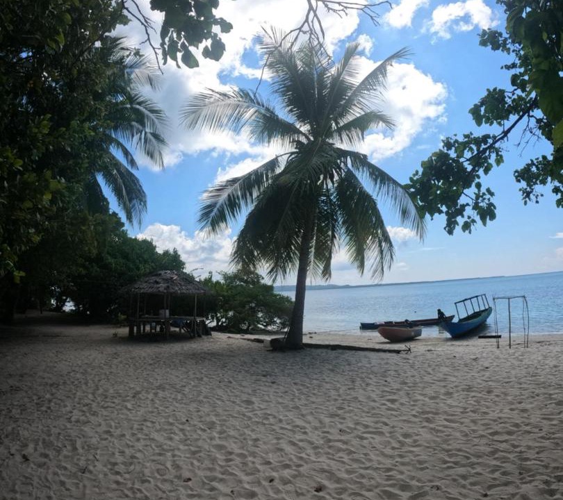 Photo of Others in Hoga Island