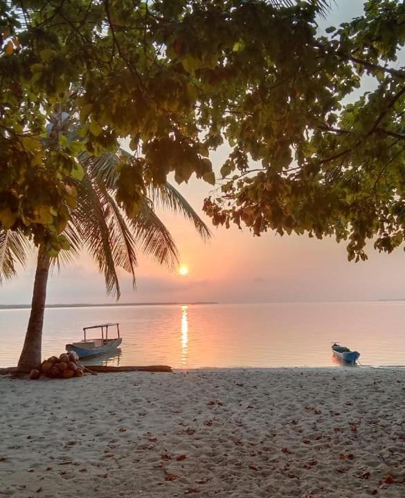 Photo of Others in Hoga Island