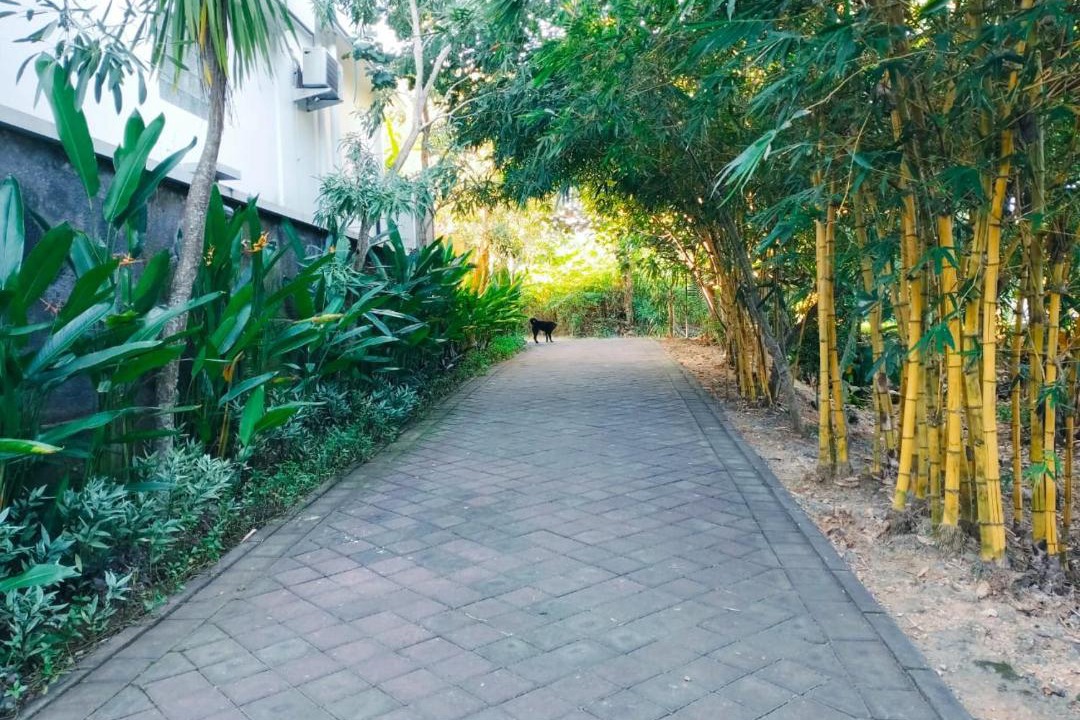 Photo of Outdoor in Kutuh