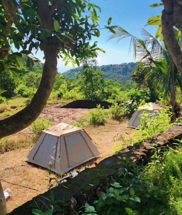 Photo of Others in Penida Island