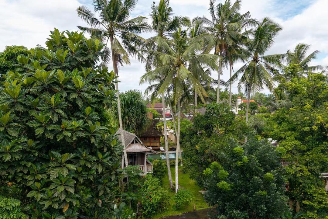 Photo of Others in Melayang
