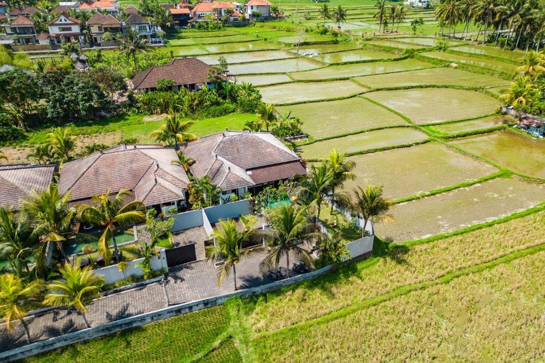 Photo of Others in Peliatan