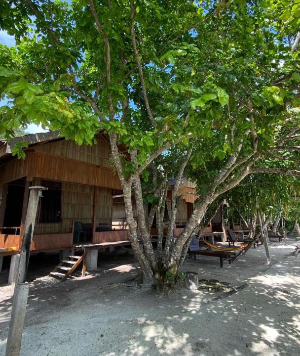 Photo of Others in Mansuar Island
