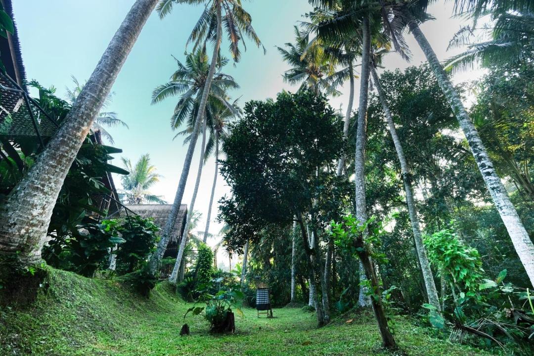 Photo of Others in Peliatan