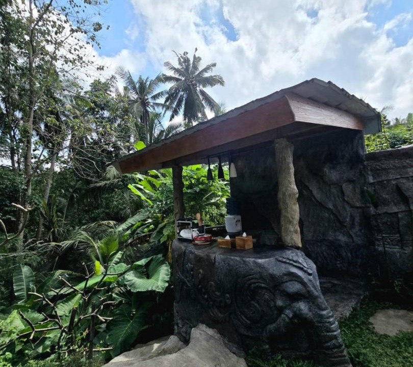 Photo of Others in Ubud