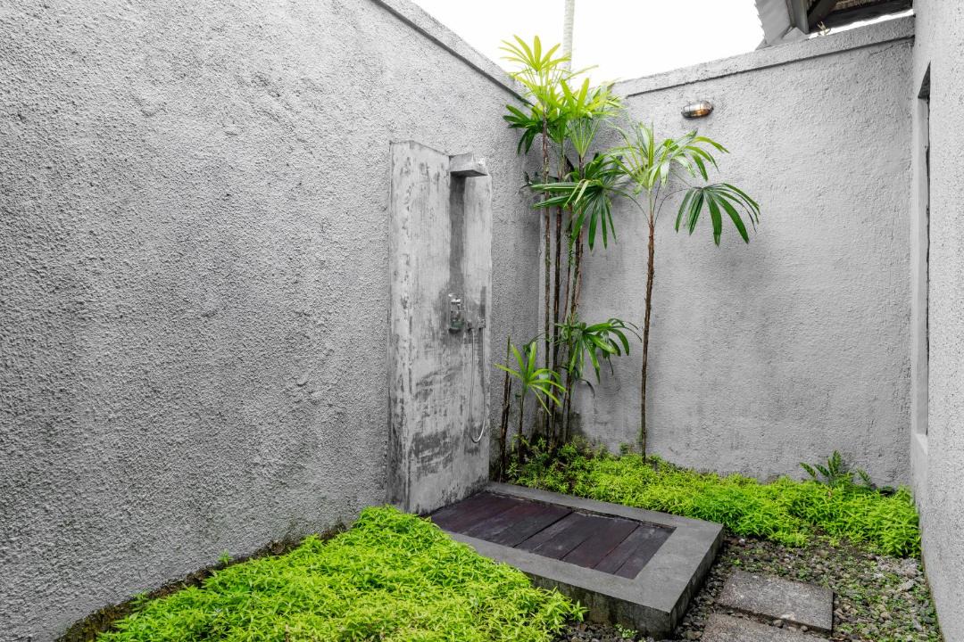 Photo of Others in Taro