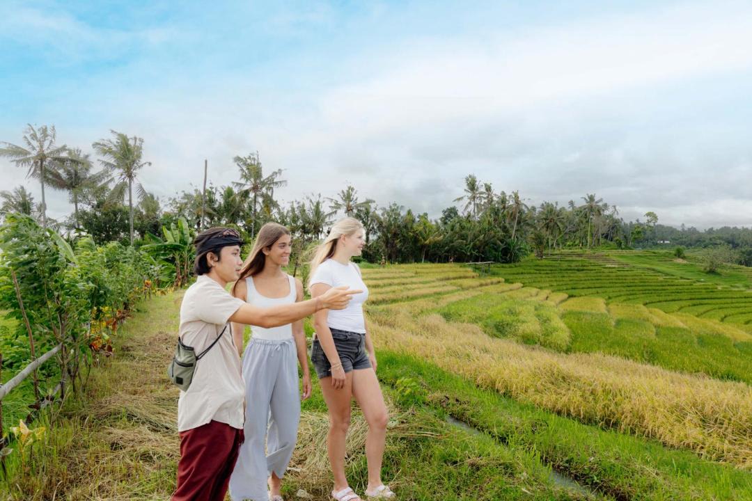 Photo of Others in East Selemadeg