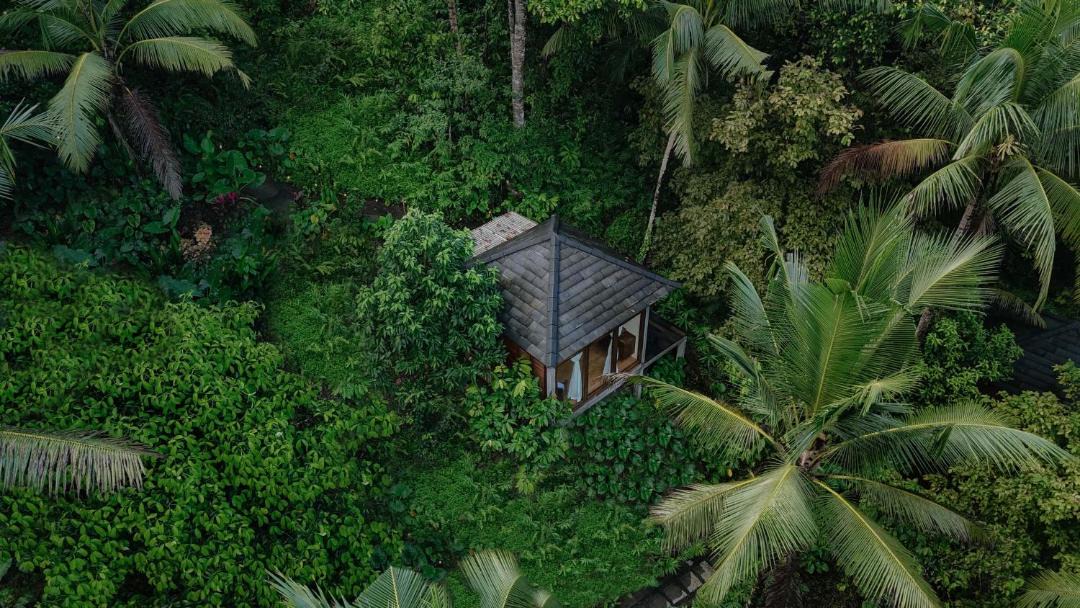 Photo of Others in East Selemadeg