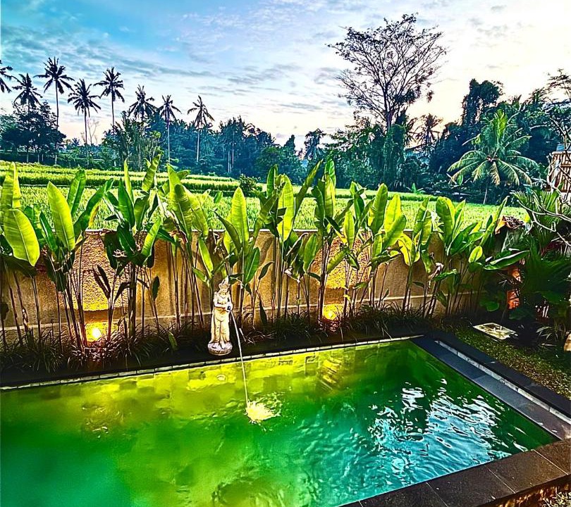 Photo of Others in Pejeng