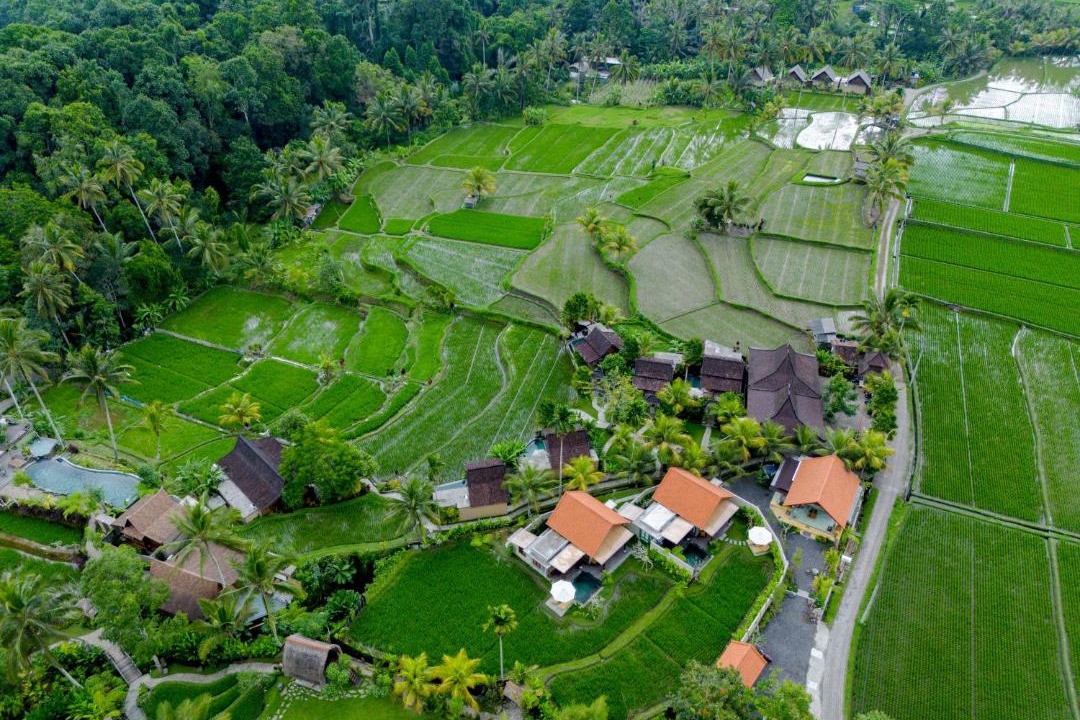 Photo of Others in Sebatu