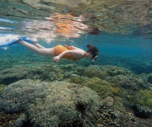 Photo of Others in Bunaken