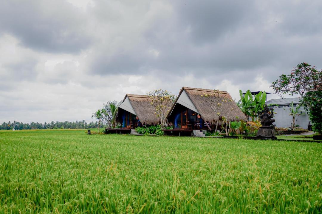 Photo of Others in Peliatan