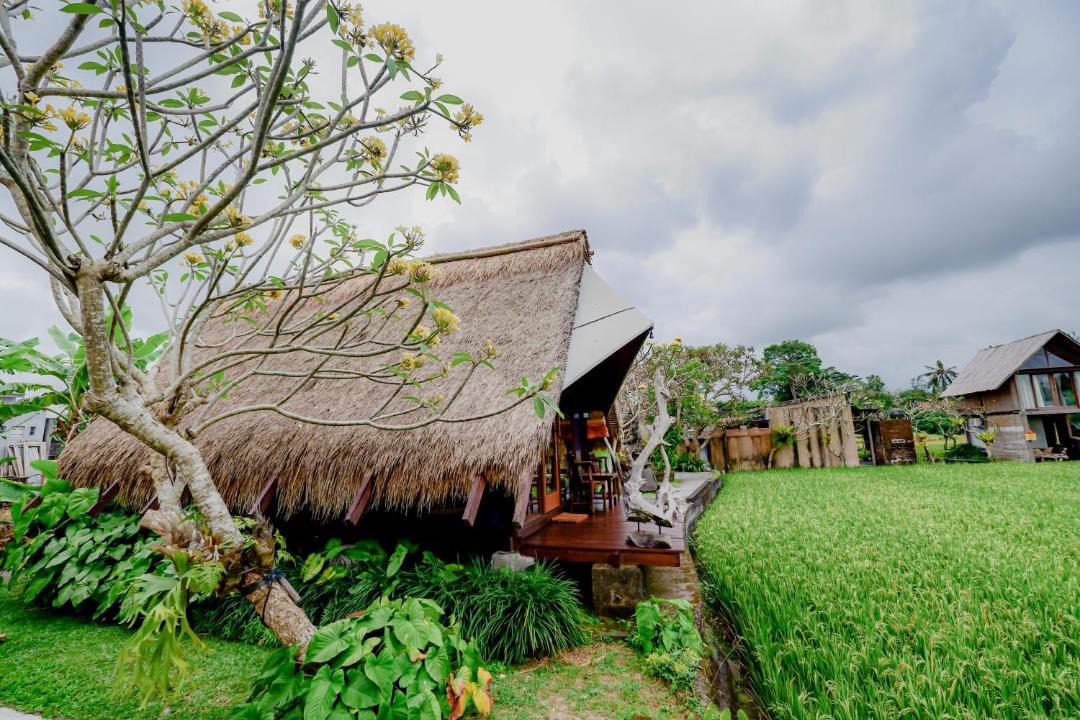 Photo of Others in Peliatan