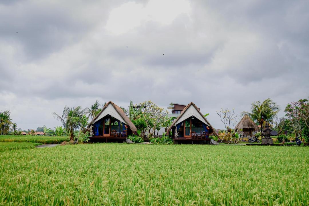 Photo of Others in Peliatan