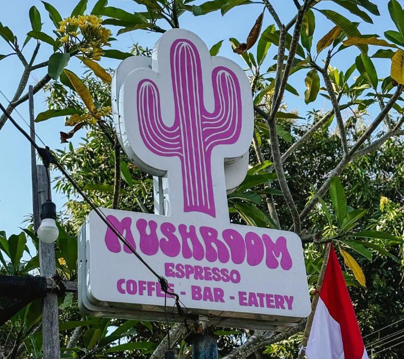 Photo of Others in Mushroom Bay