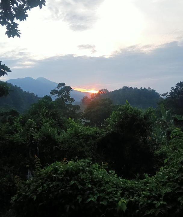 Photo of Others in Ababi