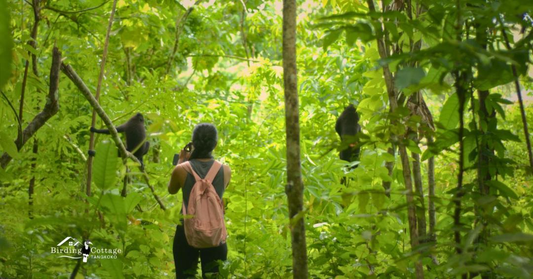 Photo of Others in Bitung