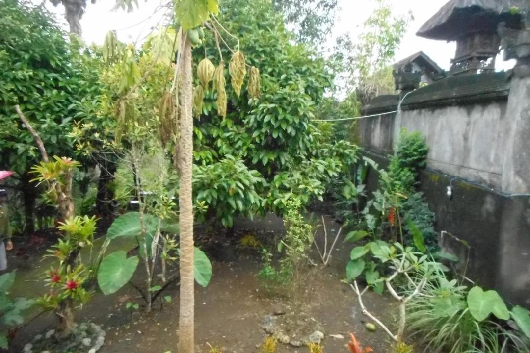 Photo of Others in Besakih