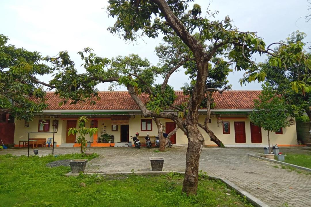 Photo of Others in Pemalang